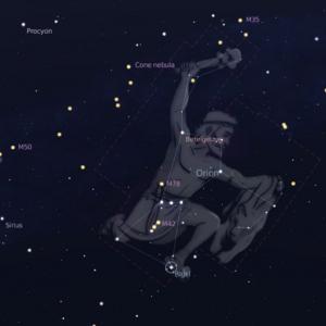 Наиболее заметные звезды в созвездии Орион